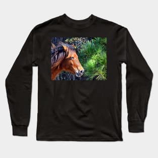 Assateague Pony Enjoying a Splash of Sunshine Long Sleeve T-Shirt